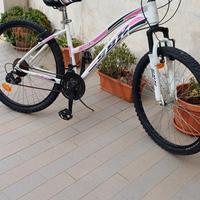 Bici Sbk