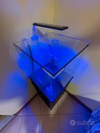 Acquario
