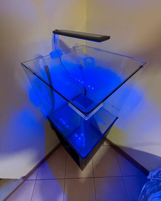 Acquario