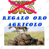 Concime equino