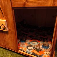 cuccia cani dog house