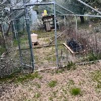 Galline   pollaio voliera  box con rete
