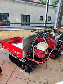 motocariola Ibea