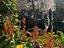 Immagine 20