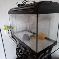 Acquario Askoll Ambiente 60L