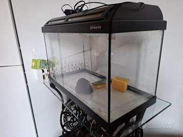 Acquario Askoll Ambiente 60L