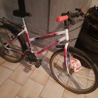 bici 22