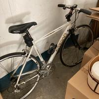 Bici kardan infinity