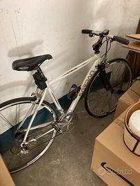 Bici kardan infinity