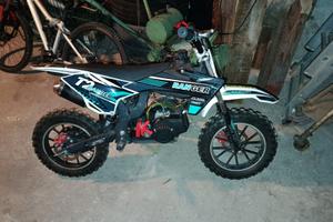 Minimoto cinesina