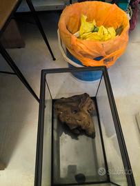 vasca per acquario 