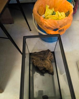 vasca per acquario 