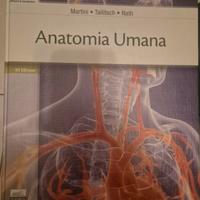 Anatomia umana martini