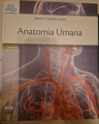 Anatomia umana martini