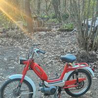 cieffe 50cc