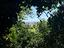 Immagine 11
