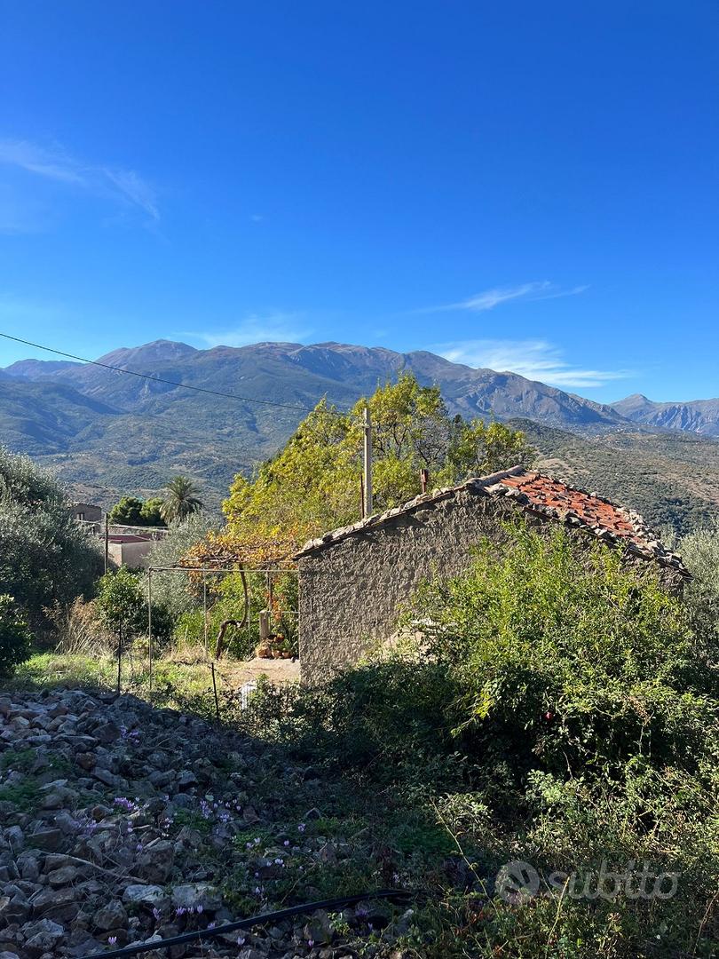 Proprietà terriera con immobili - Vista 3