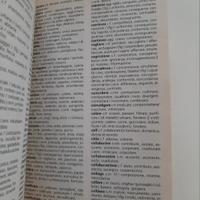 Dizionario Sinonimi e Contrari 