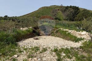 Terreno - Buseto Palizzolo