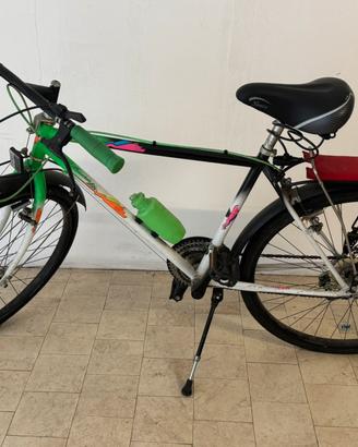 Bicicletta Mountain bike