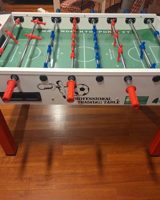 Roberto Sport  professional training table 