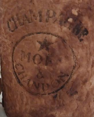 Rara Custodia d'epoca Moet Chandon vintage
