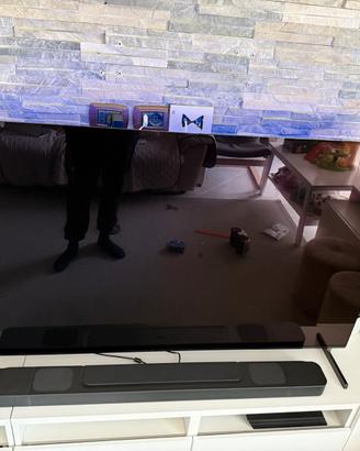 Sony Bravia Oled 65” Master Series + Garanzia