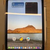 Ipad Air M1 sim