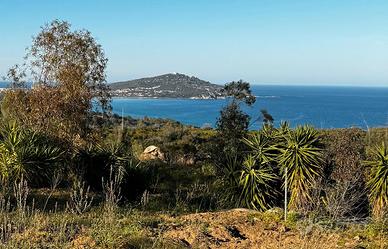 Terreno panoramico vista mare a Tortolì