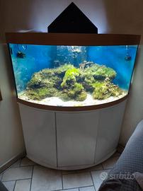 Acquario Juwel Trigon 350 Litri