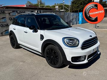 Countryman Cooper D 2.0 Automatica
