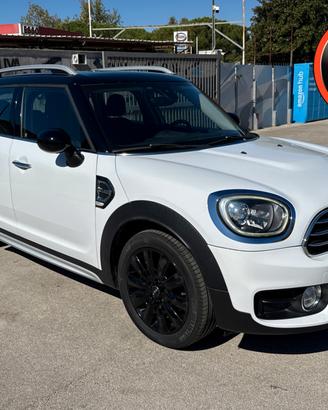 Countryman Cooper D 2.0 Automatica