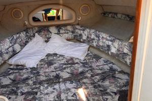 SeaRay 240 DA Natante