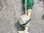 Immagine 4