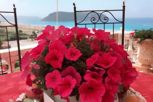Dal 29 agosto al 4 settembre settimana last minute