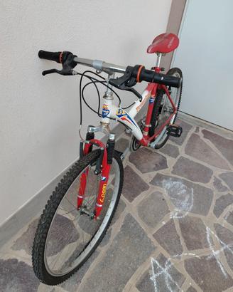 biciclette