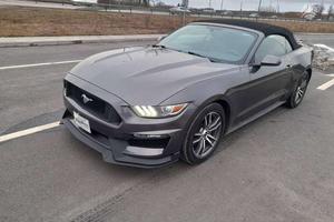 ford mustang 2.3 ecoboost cabrio
