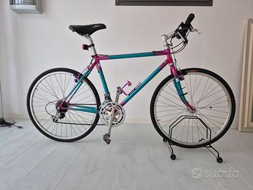 Bicicletta Mountain bike