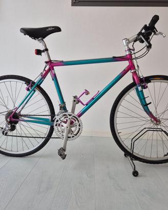Bicicletta Mountain bike