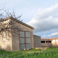 Azienda agropastorale