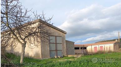 Azienda agropastorale