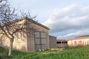 Azienda agropastorale