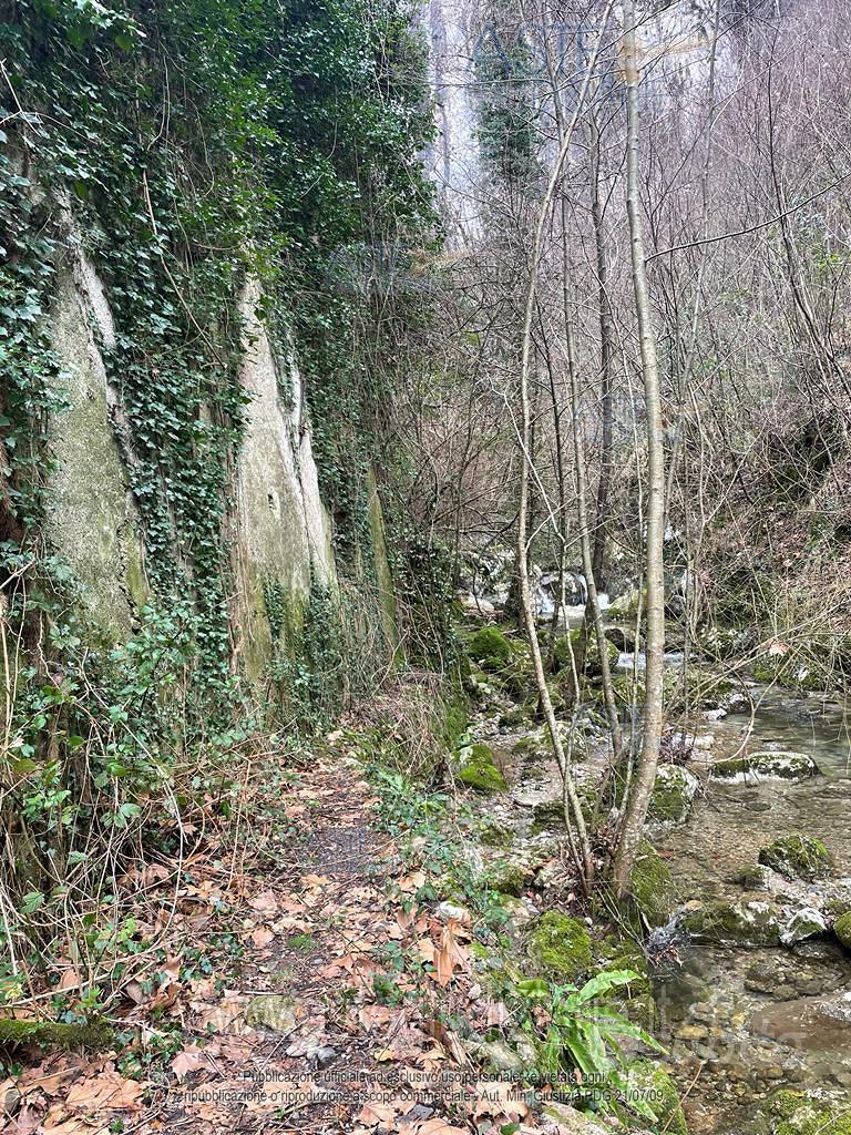 Terreno Agricolo Camaiore [A4346364] - Vista 3