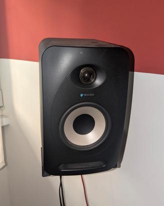 Coppia Tannoy Reveal 502 – Condizioni Perfette