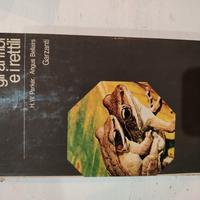 gli anfibi e i rettili, enciclopedia degli animali