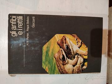gli anfibi e i rettili, enciclopedia degli animali