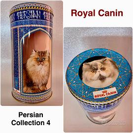 ROYAL CANIN*Scatola Collection 4 Persian Originale