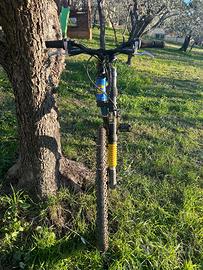 Mountain-bike Cannondale Jekyll per appassionati