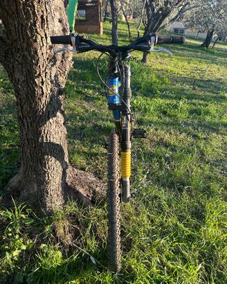 Mountain-bike Cannondale Jekyll per appassionati