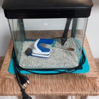 Acquario piccolo